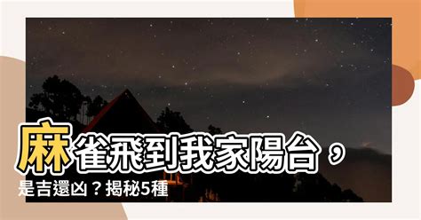 麻雀飛到陽台|麻雀誤闖辦公室是吉兆？單位是不是要「火」？